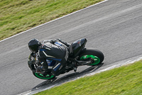 Middle Group Black Bikes
